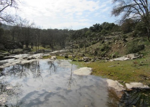 imagen de Finca de recreo y ganadera en Madrid